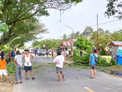 Gotong Royong Penebangan Pohon di Batas Benteng-Lambarese, Libatkan Pemdes hingga Masyarakat
