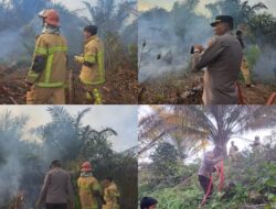 Kebun Sawit Warga di Mataallo Terbakar, Damkar Tomoni Sigap ke Lokasi