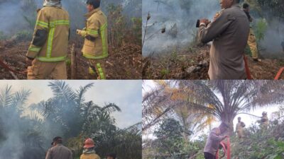 Kebun Sawit Warga di Mataallo Terbakar, Damkar Tomoni Sigap ke Lokasi
