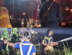 Pemkab Luwu Timur Kerahkan Damkar Bantu Penanganan Karhutla di Pendolo
