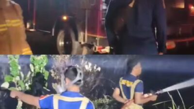 Pemkab Luwu Timur Kerahkan Damkar Bantu Penanganan Karhutla di Pendolo