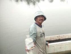 Budidaya Semi Organik Jadi Harapan Baru Petambak Desa Bahari