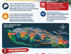 Kabut Asap Selimuti Luwu Utara, Bupati dan Kadis Kesehatan Imbau Warga Gunakan Masker