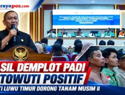 ‎Hasil Demplot Padi di Towuti Positif, Bupati Luwu Timur Dorong Tanam Musim II