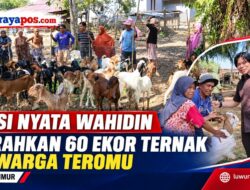 Gelar Aksi Nyata, Anggota DPRD Luwu Timur Wahidin Serahkan Bantuan 60 Ekor Hewan Ternak ke Warga Desa Teromu