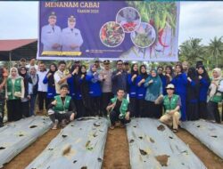 Pemkab Lutim Gencarkan Gerakan Tanam Cabai Atasi Inflasi dan Perkuat Ketahanan Pangan