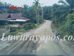 PROYEK PLTA TOMONI, WARGA KELUHKAN JALAN RUAS DESA RANTEMARIO-UJUNG BARU, RUSAK BERAT