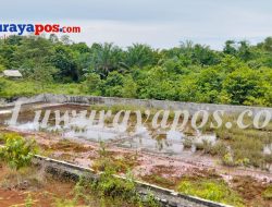 MANGKRAK, BANGUNAN KOLAM RENANG DESA NONBLOK KECAMATAN KALAENA YANG MENGGUNAKAN DANA DESA RATUSAN JUTA RUPIAH