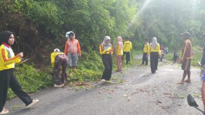 Aparat Desa Cendana Melaksanakan Kegiatan Gotong Royong Bersama Masyarakat, Bhabinkamtibmas, dan KKN Univerisitas Cokro Aminoto Palopo.