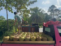 Polsek Mangkutana Kembali Berhasil Gagalkan Penyelundupan Tabung 3 KG