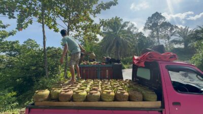 Polsek Mangkutana Kembali Berhasil Gagalkan Penyelundupan Tabung 3 KG