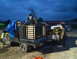 Pengangkutan Ilegal LPG 3 Kg Terbongkar ,Polres Luwu Timur Tingkatkan Penyidikan