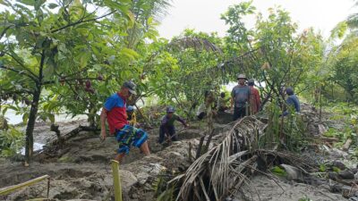 Pemerintah Desa dan Masyarakat Desa Tabaroge Gotong Royong Antisipasi Banjir Sungai Pawosoi.