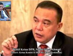 Fitnah dan Insinuasi Tingkat Tinggi terhadap Sufmi Dasco Ahmad