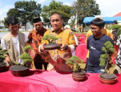 Bupati Irwan Tutup Pameran Bonsai Jilid II, Kagumi Pesona Bonsai Endemik Lutim