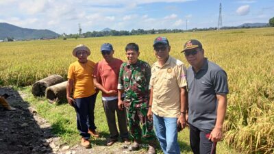 TNI dan Pemda Bersinergi Sambut Panen Raya dan Kunjungan Menteri Pertanian di Tomoni Timur