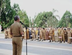 Kabar Baik untuk CPNS dan PPPK Lutim, SK Siap Diserahkan Pekan Depan