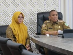 Bupati Irwan Bachri Syam Jadi Keynote Speaker Webinar Internasional Nurses Day 2025