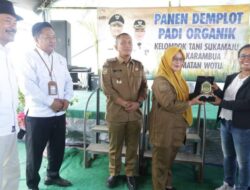 Bupati dan Wabup Lutim Panen Demplot Padi Organik di Karambua